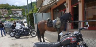 Photos: Bonnie & Ride – Castel Trosino (AP), Italy