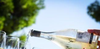 Bonnie&Ride – Wine Tasting Tour