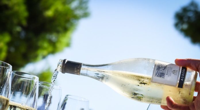 Bonnie&Ride – Wine Tasting Tour